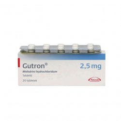 Гутрон таблетки 2,5 мг. №20 в Владимире и области фото